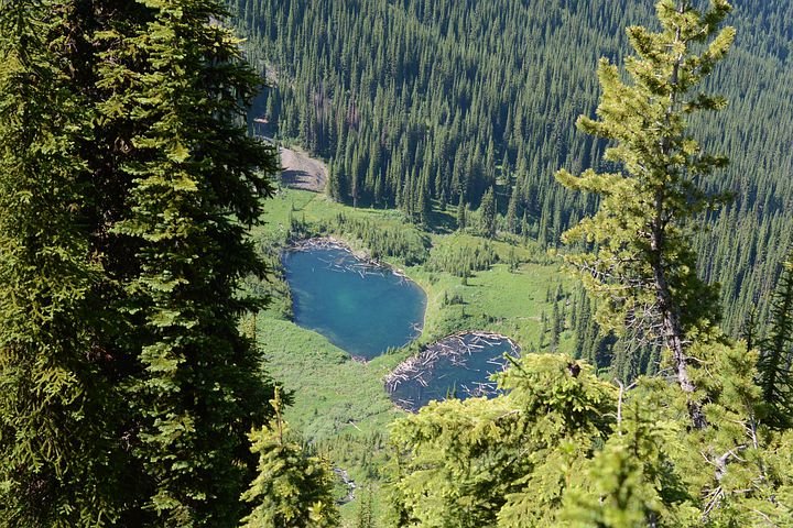 Idaho
