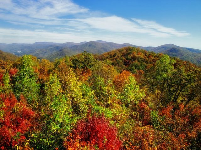 Georgia
