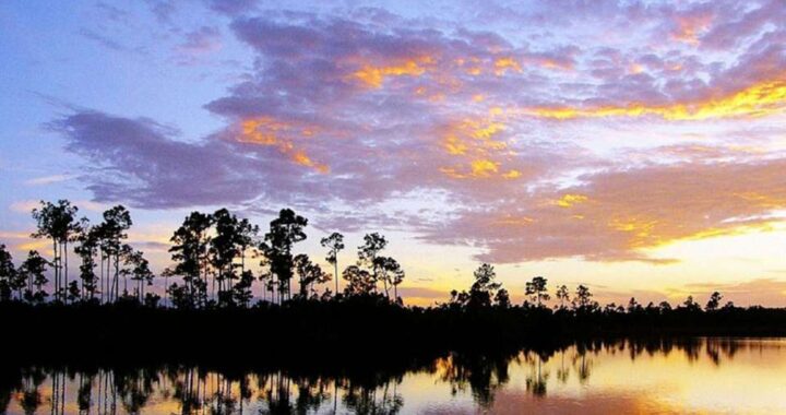 Visit everglades