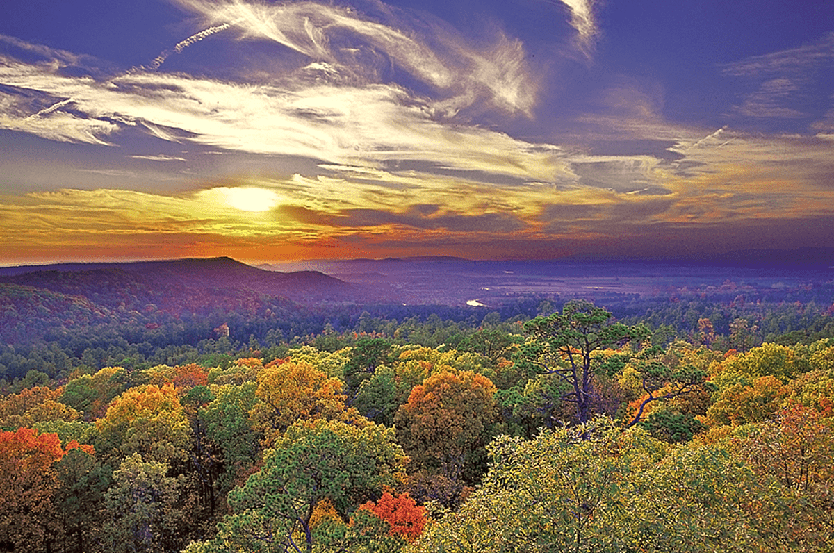 fall foliage in Arkansas