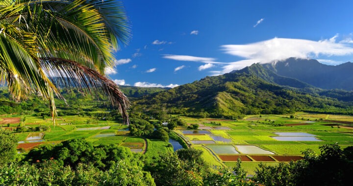 hawaiian Islands