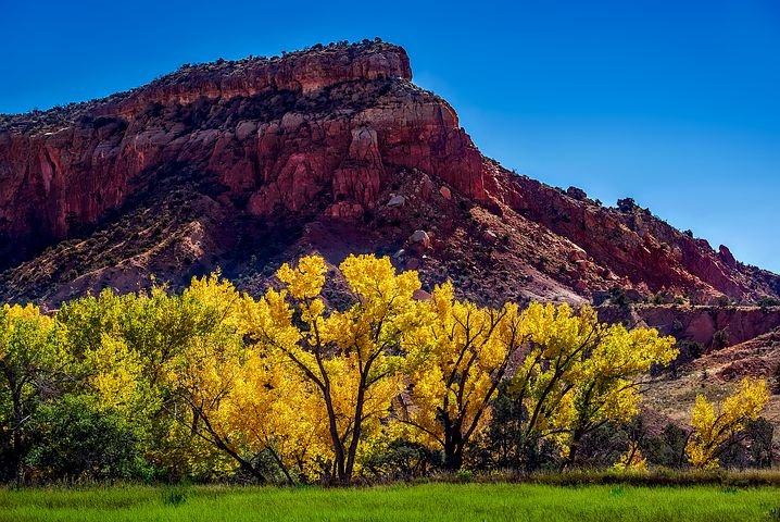 New Mexico