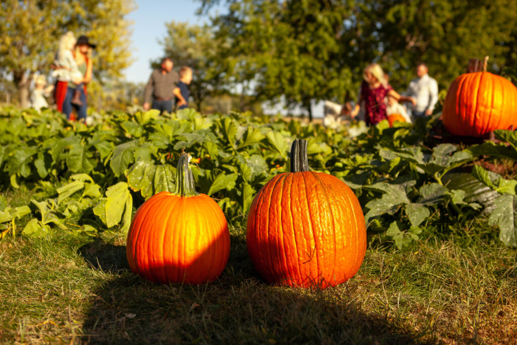 Fall Festivals in Nebraska