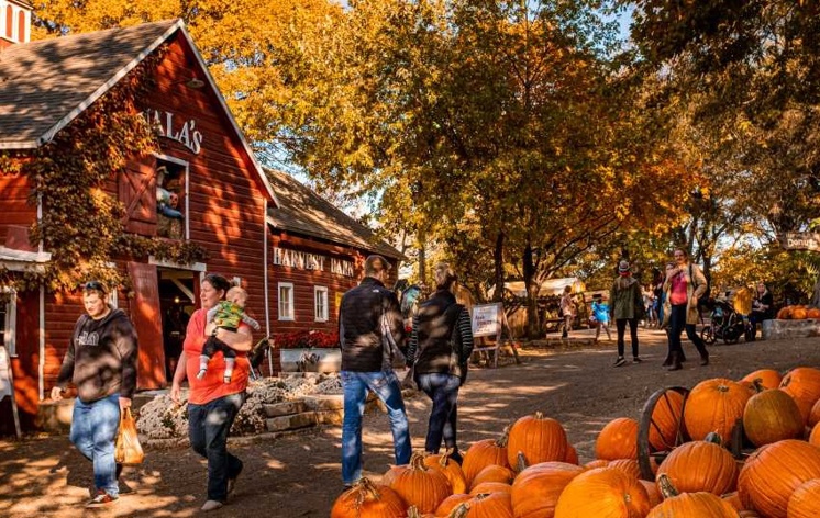 Fall Festivals in Nebraska