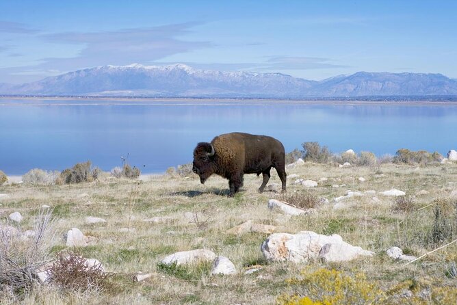 beautiful state parks in utah