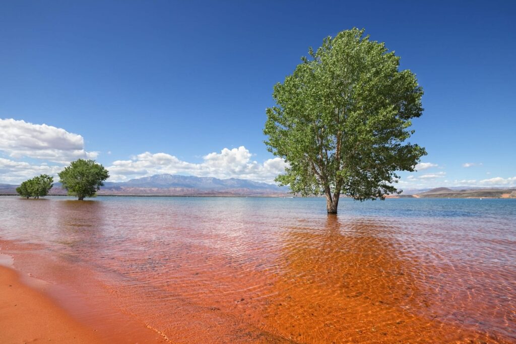 beautiful state parks in utah