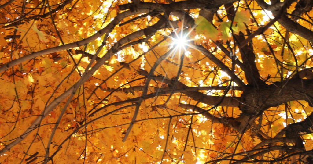 best fall festivals in Oklahoma