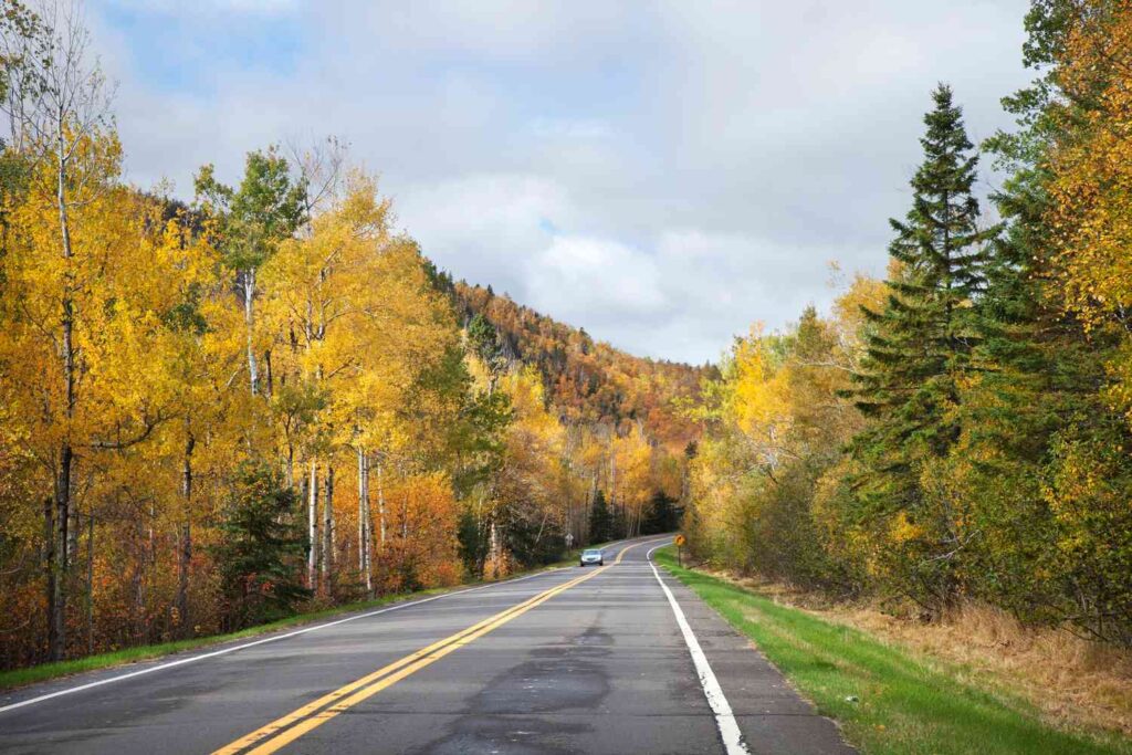 best fall foliage in minnesota