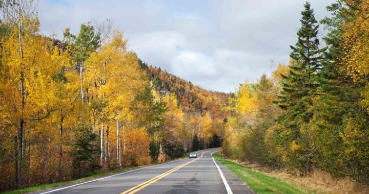 best fall foliage in minnesota