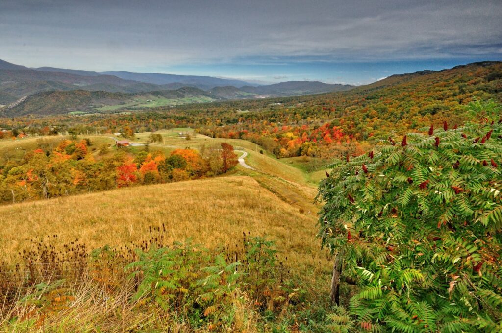 best fall foliage in west virginia