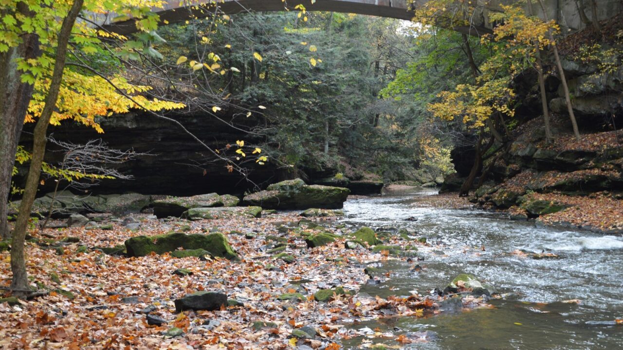 The Best Fall Leaves In Ohio - American Beautiful