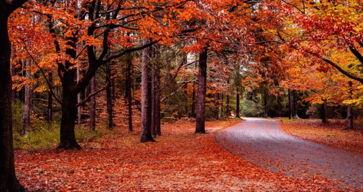best places to see fall foliage in Massachusetts