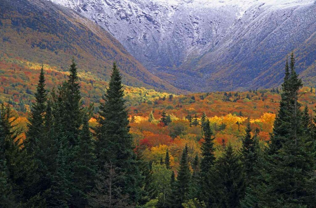 fall foliage in New Hampshire
