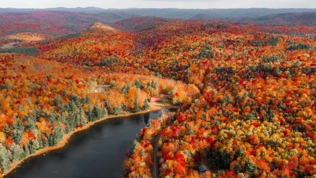 fall foliage in New Hampshire