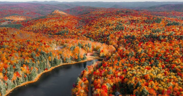 fall foliage in New Hampshire