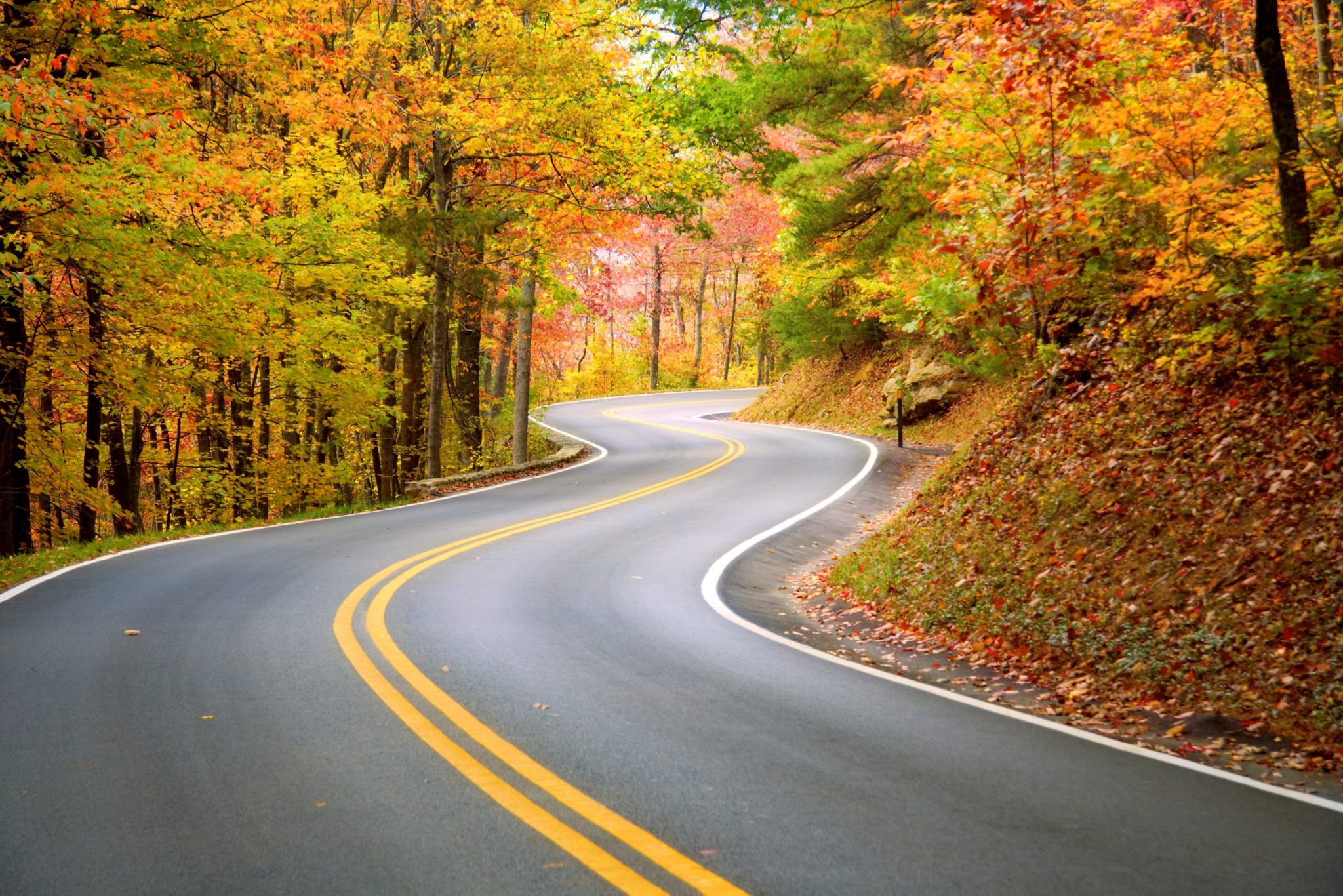 The Best Places To See Fall Foliage In Indiana American Beautiful