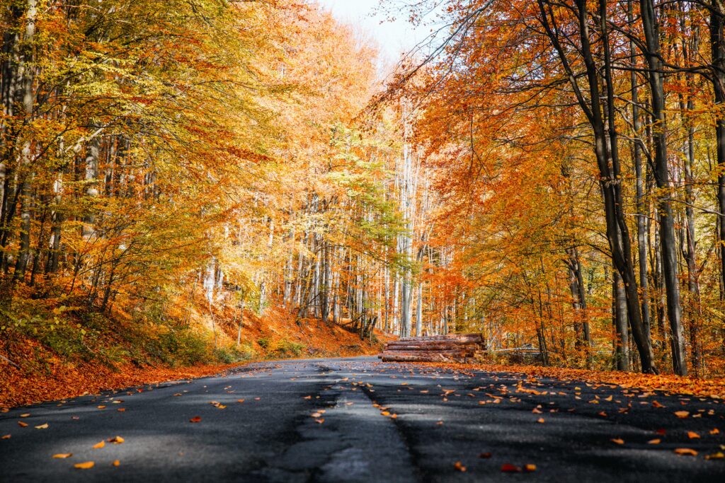 places to see fall foliage in Illinois