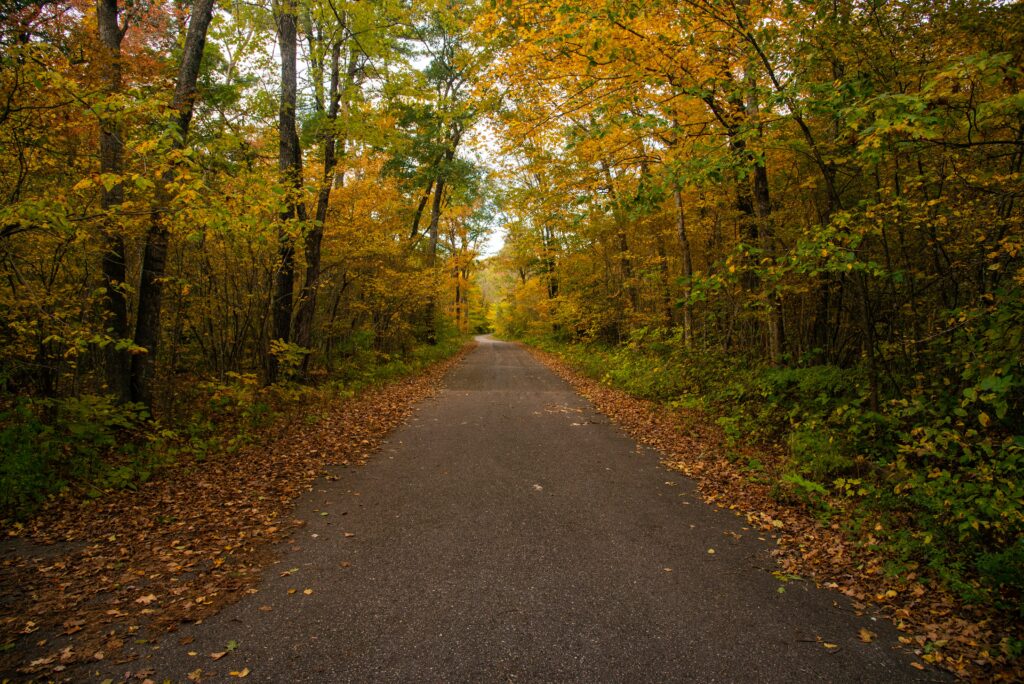 places to see fall foliage in Illinois