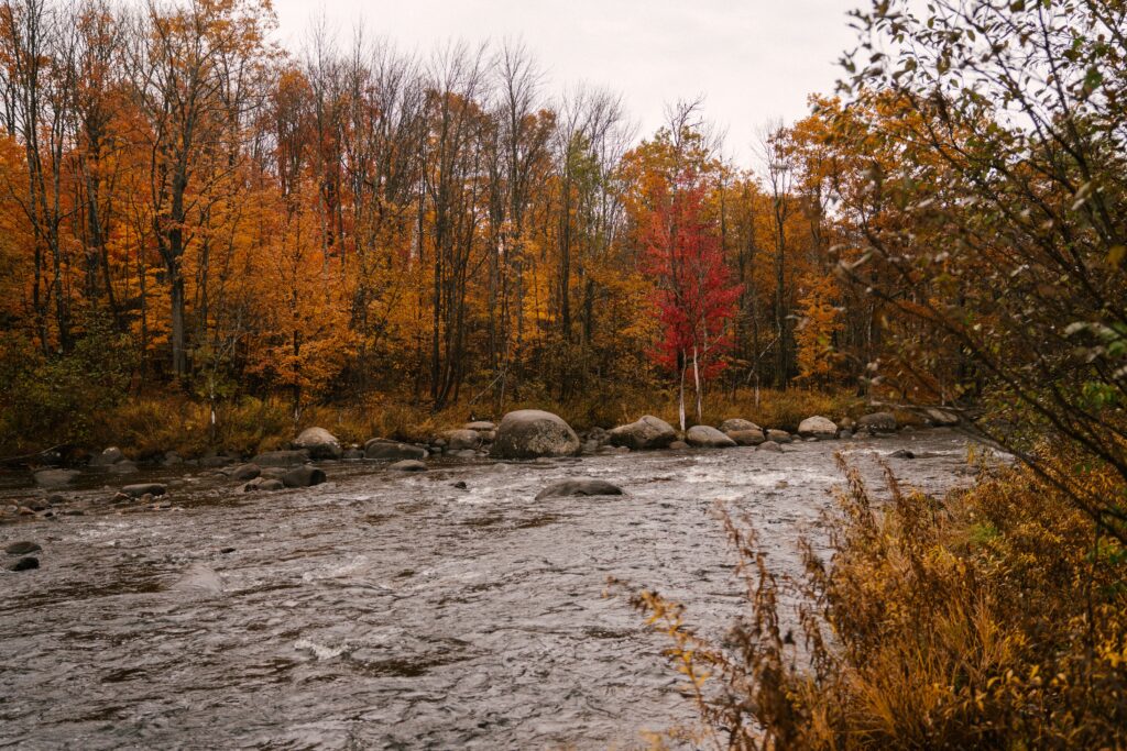 places to see fall foliage in Illinois