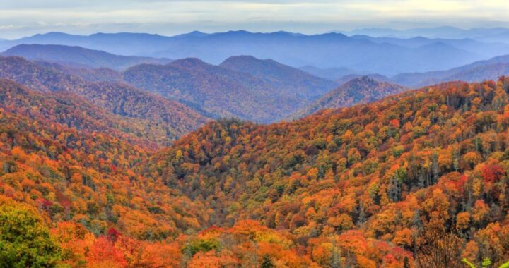 see fall leaves in tennessee