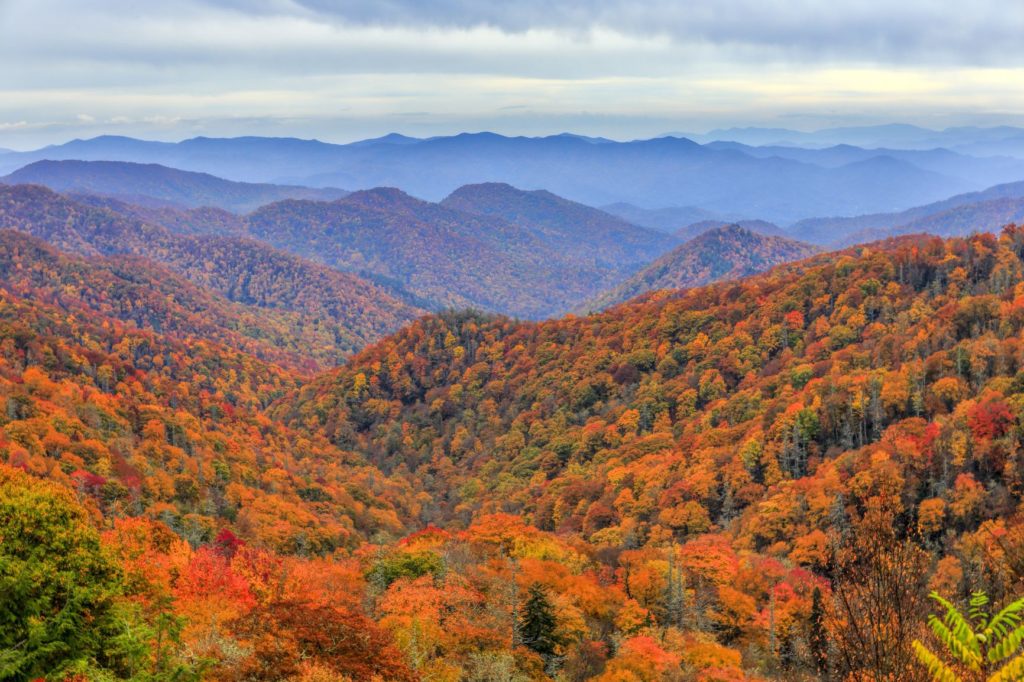 see fall leaves in tennessee