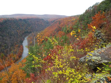 fall foliage in Pennsylvania