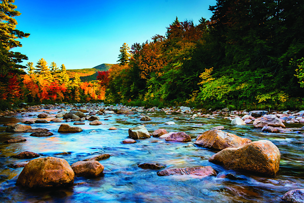 spring in new hampshire