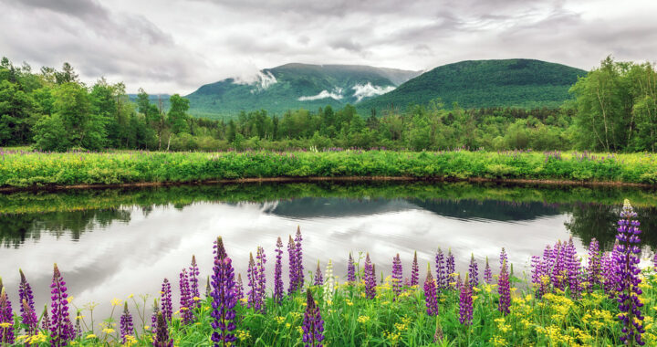 spring in new hampshire