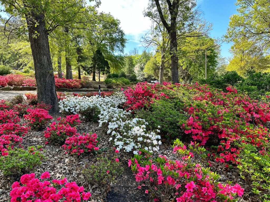 springtime activities in oklahoma