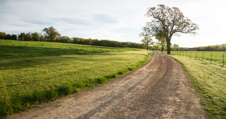 springtime activities in oklahoma