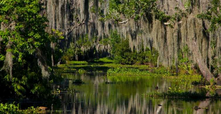 places to visit in louisiana